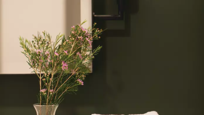 Room Image for Standard Room